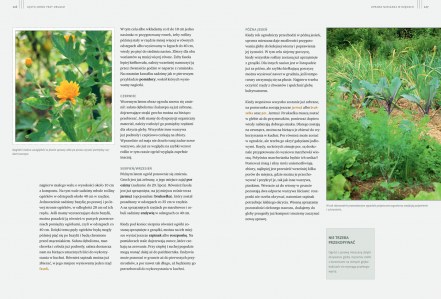 Sekrety ogrodu siostry Christy_s126-127